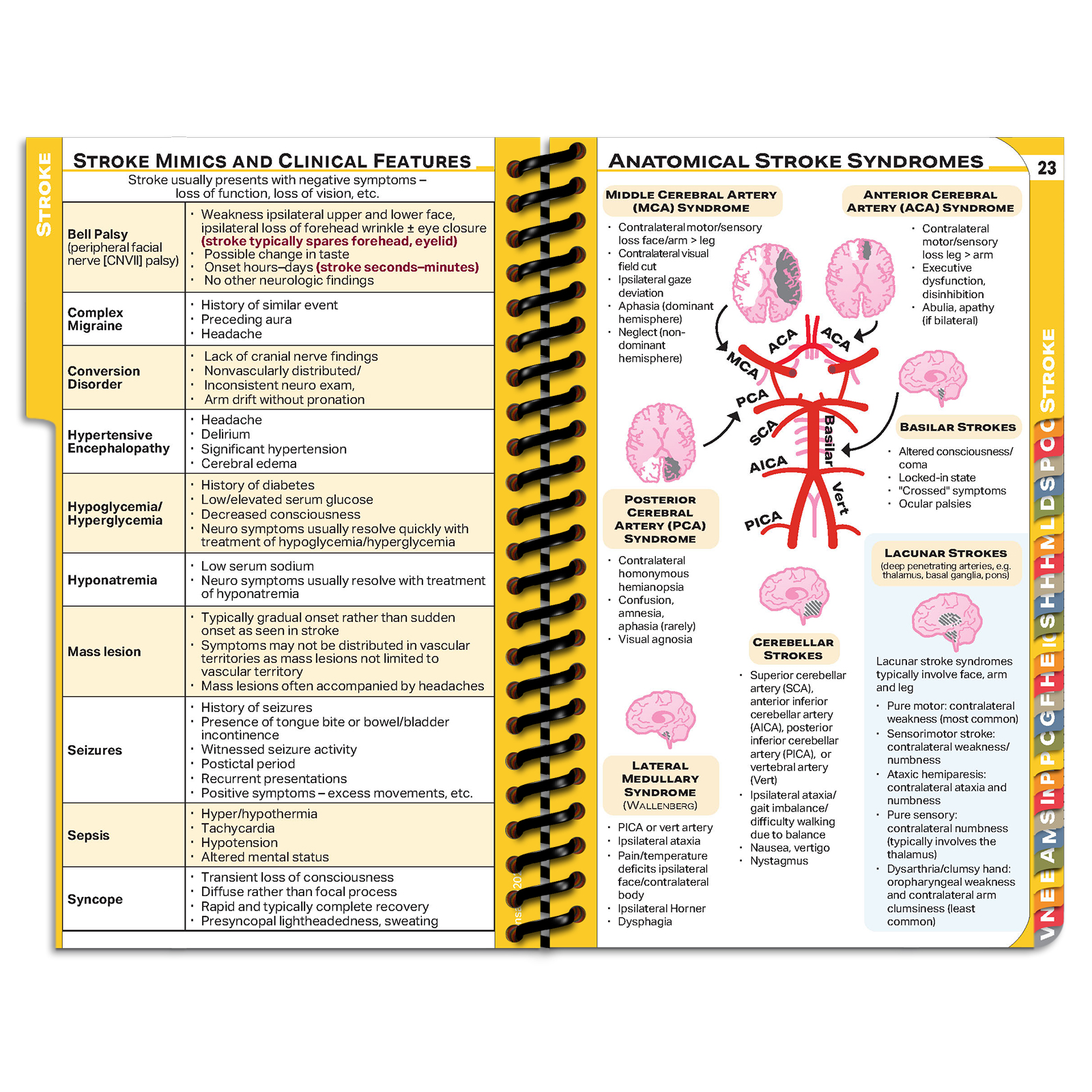 MDpocket University of Kansas School of Medicine Resident