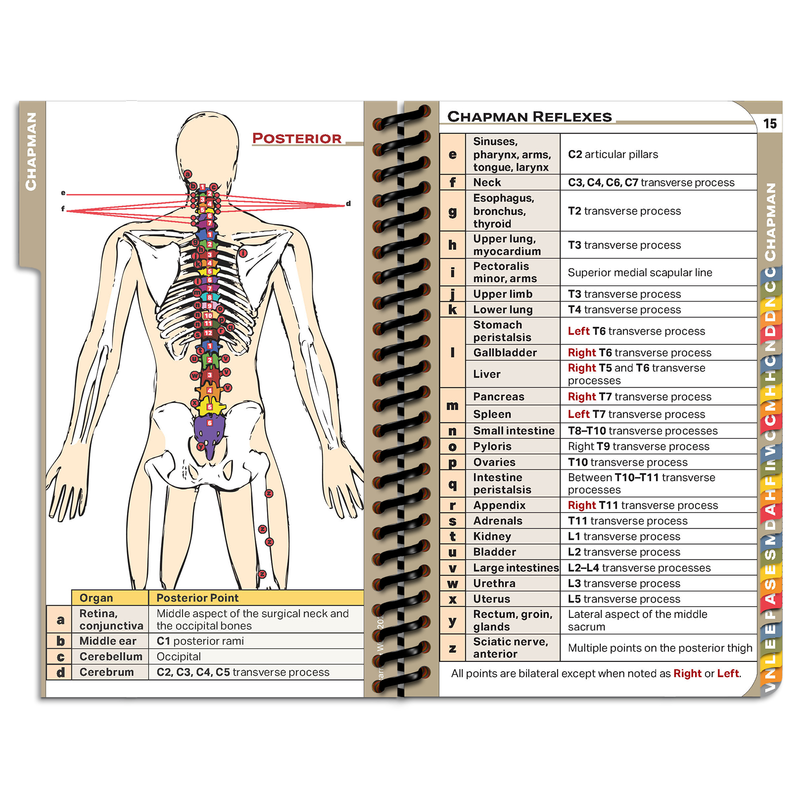 University of the Incarnate Word School of Osteopathic Medicine DOpocket