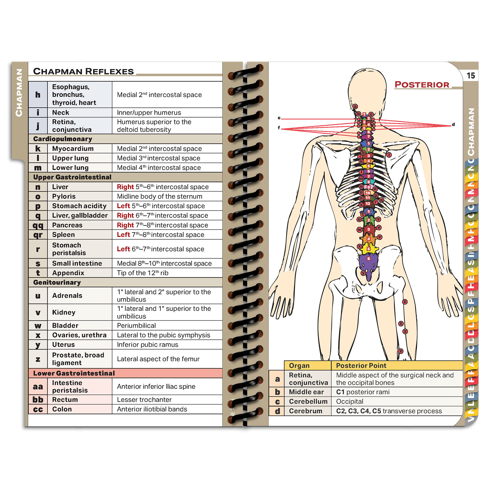 DOpocket University of New England