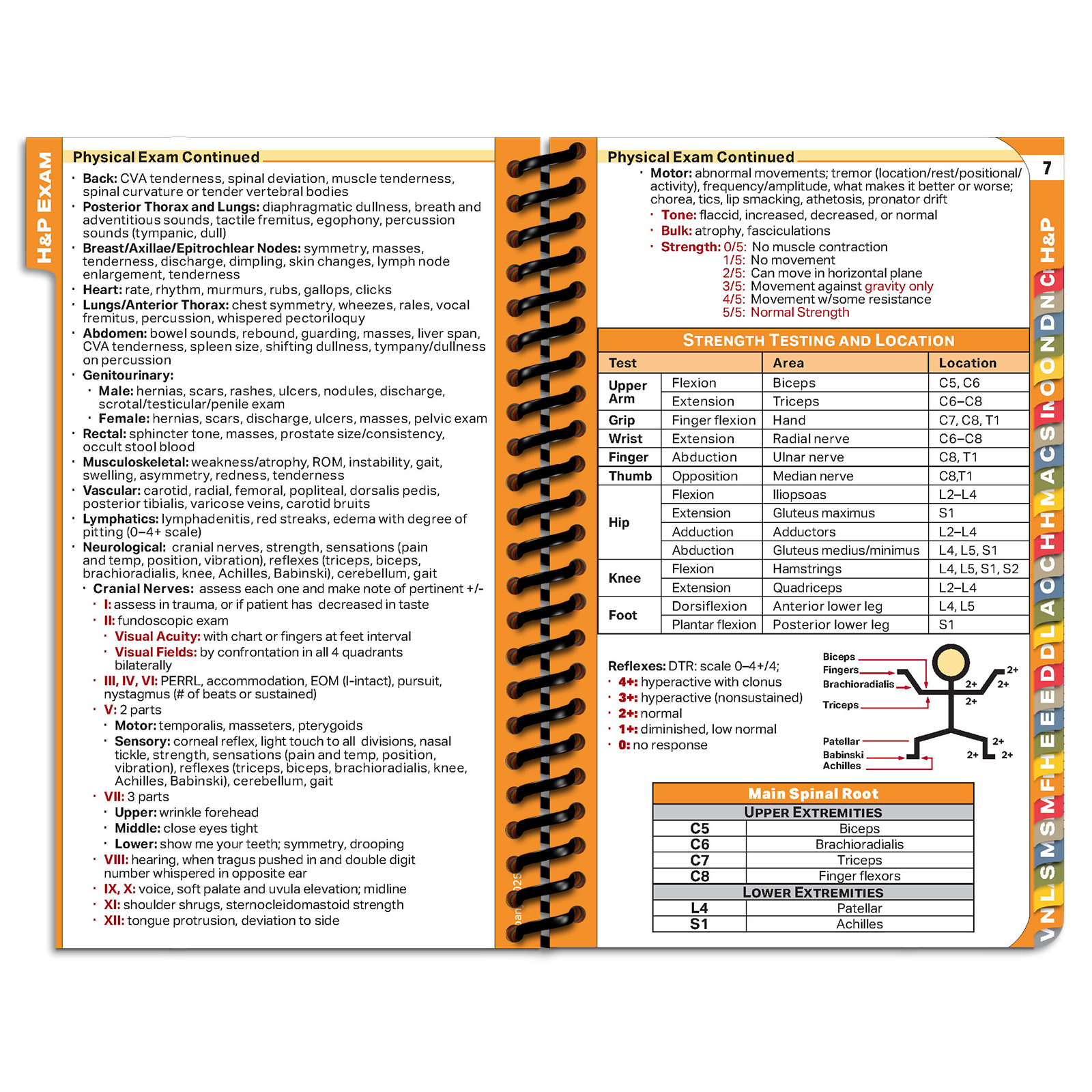 PApocket Physician Assistant Albany Medical College