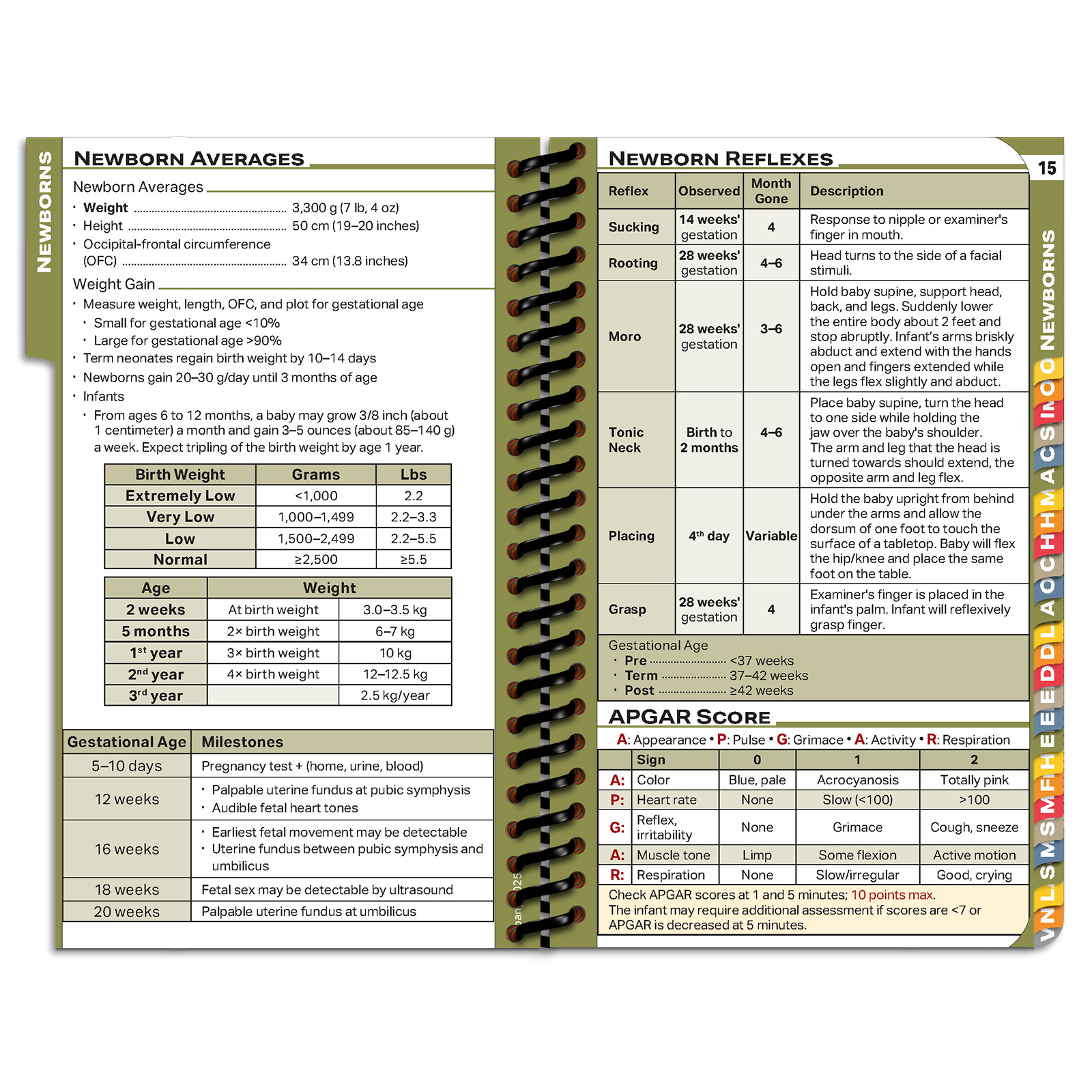 PApocket Physician Assistant Albany Medical College