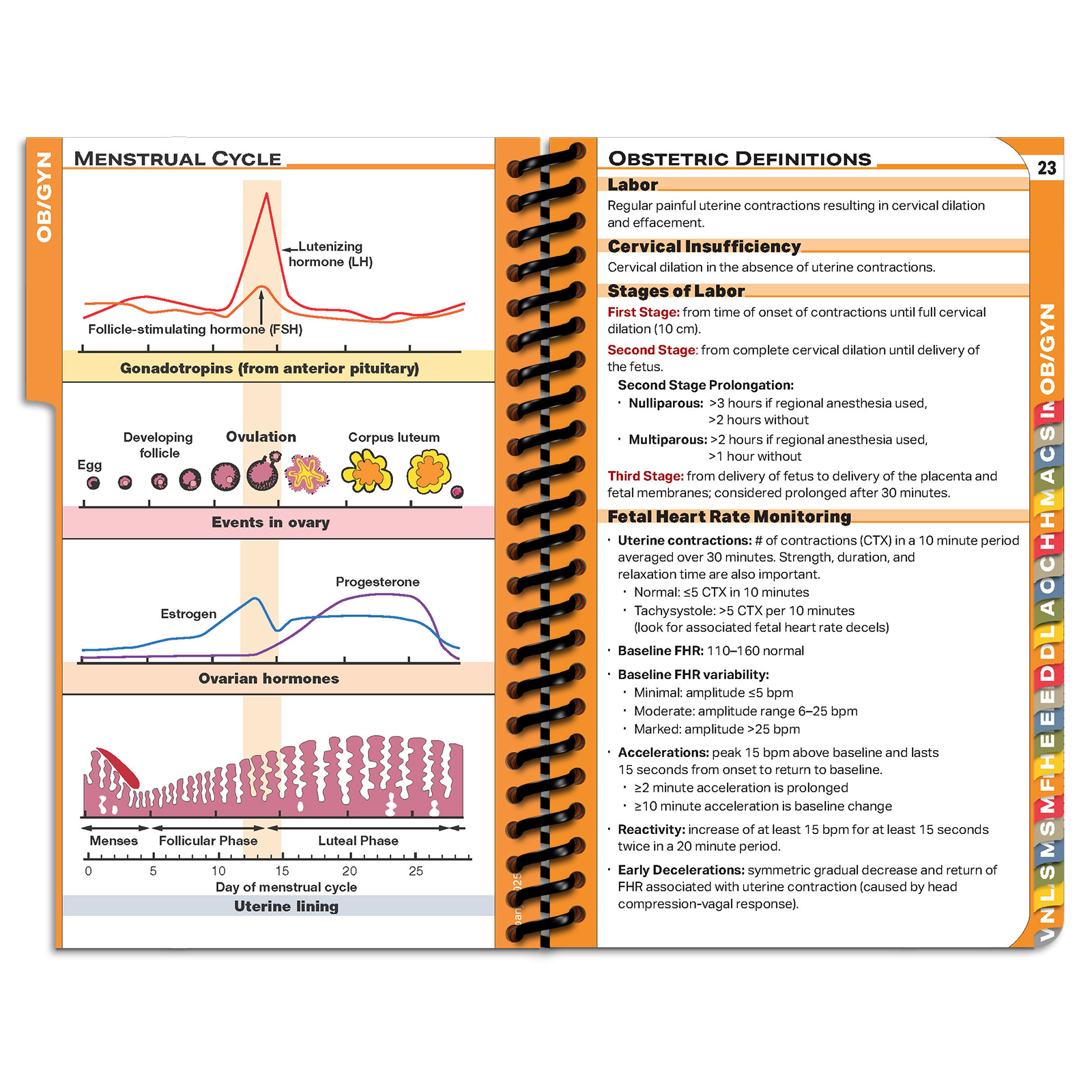 PApocket Physician Assistant Albany Medical College