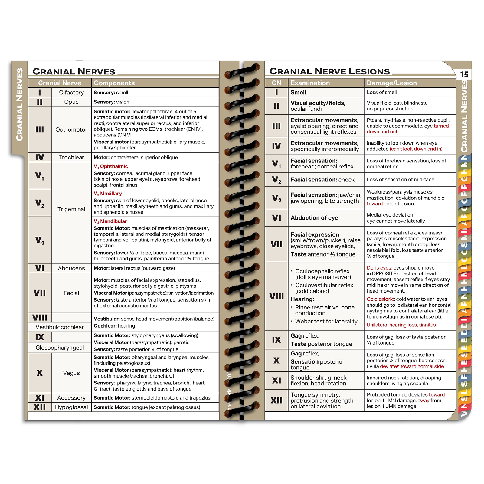 PApocket Physician Assistant Bethel University - Paris Campus