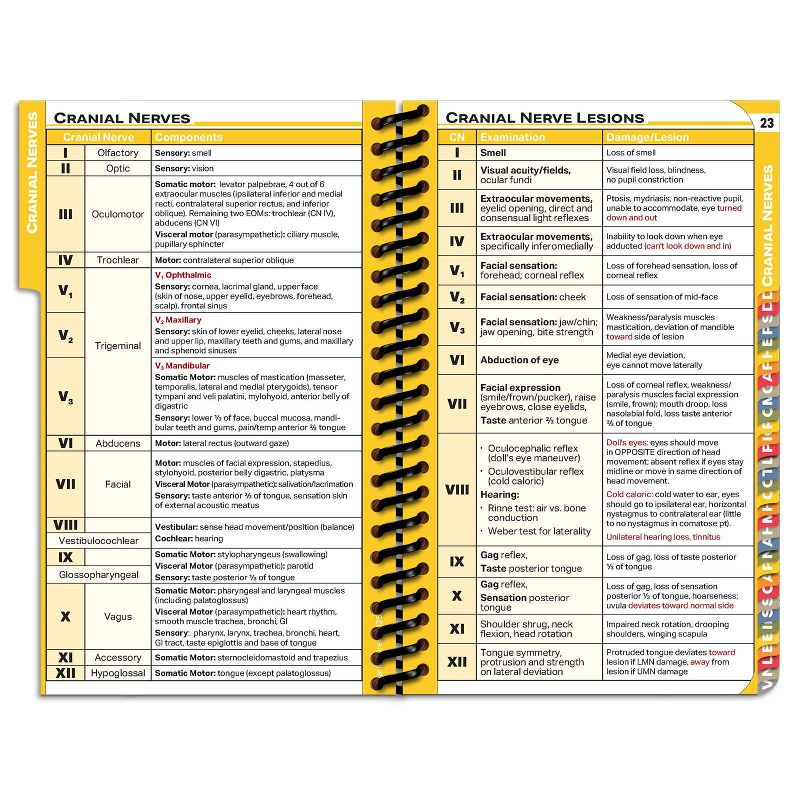 PApocket Physician Assistant Charles R. Drew University