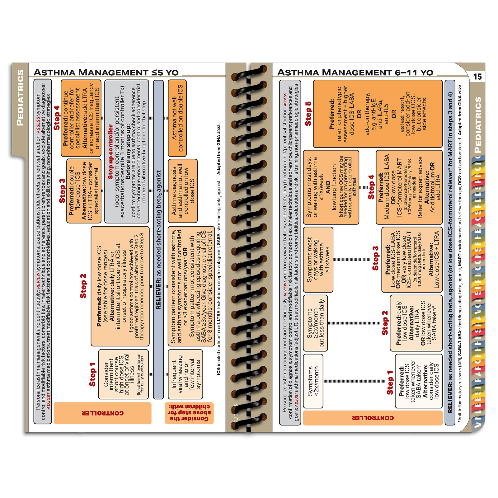 PApocket Physician Assistant Hardin-Simmons University