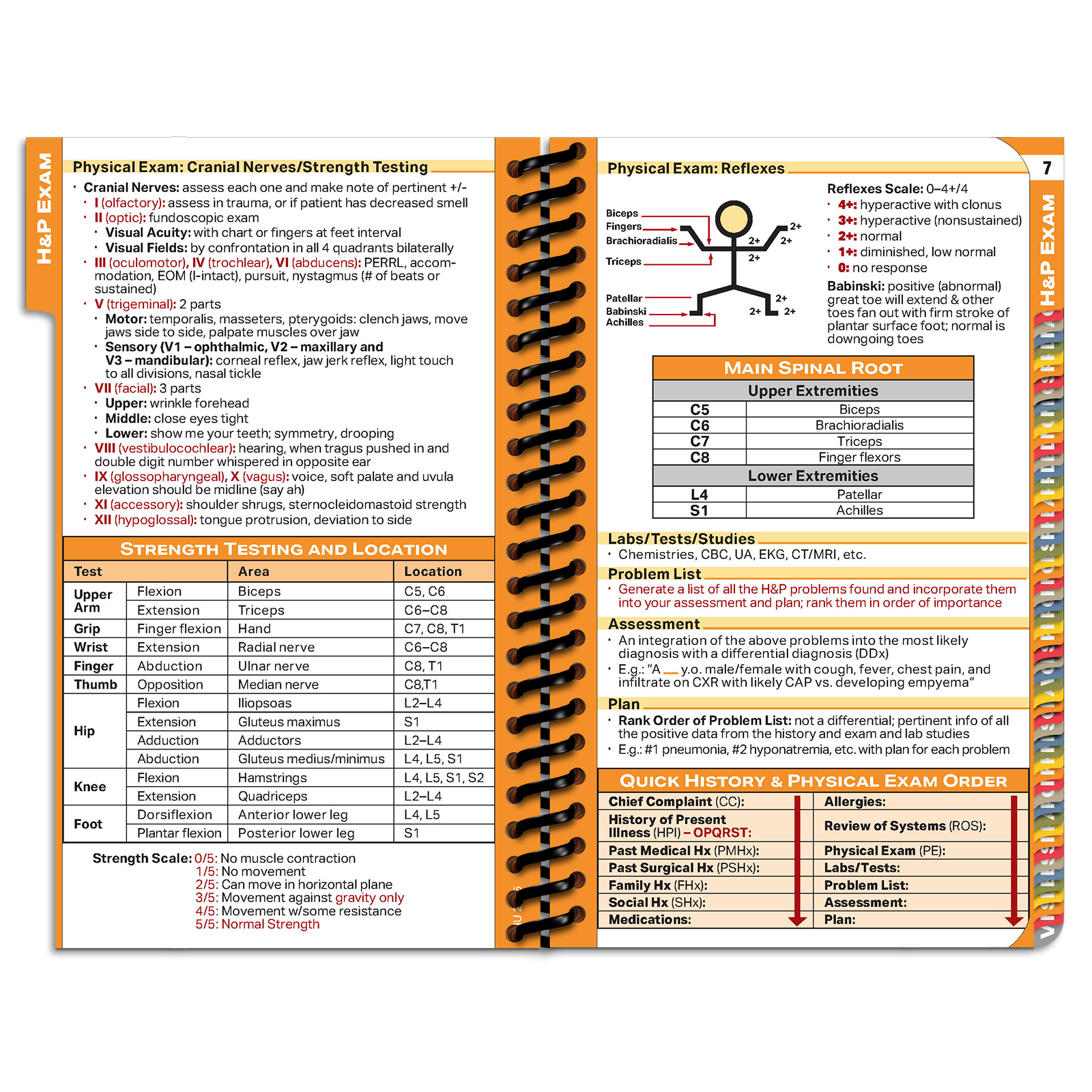 PApocket Physician Assistant Sacred Heart University