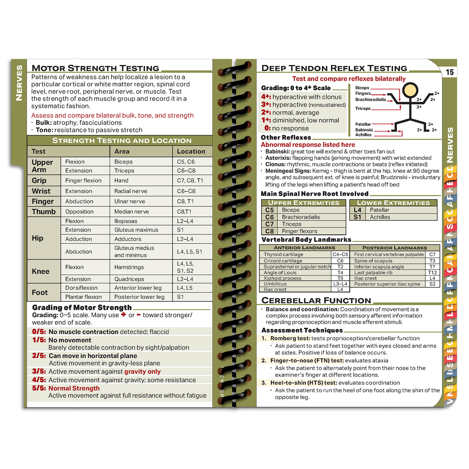 PApocket Physician Assistant South Carolina