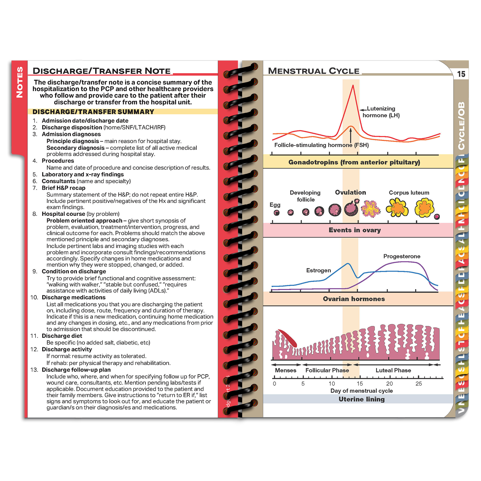 PApocket Physician Assistant University of Bridgeport