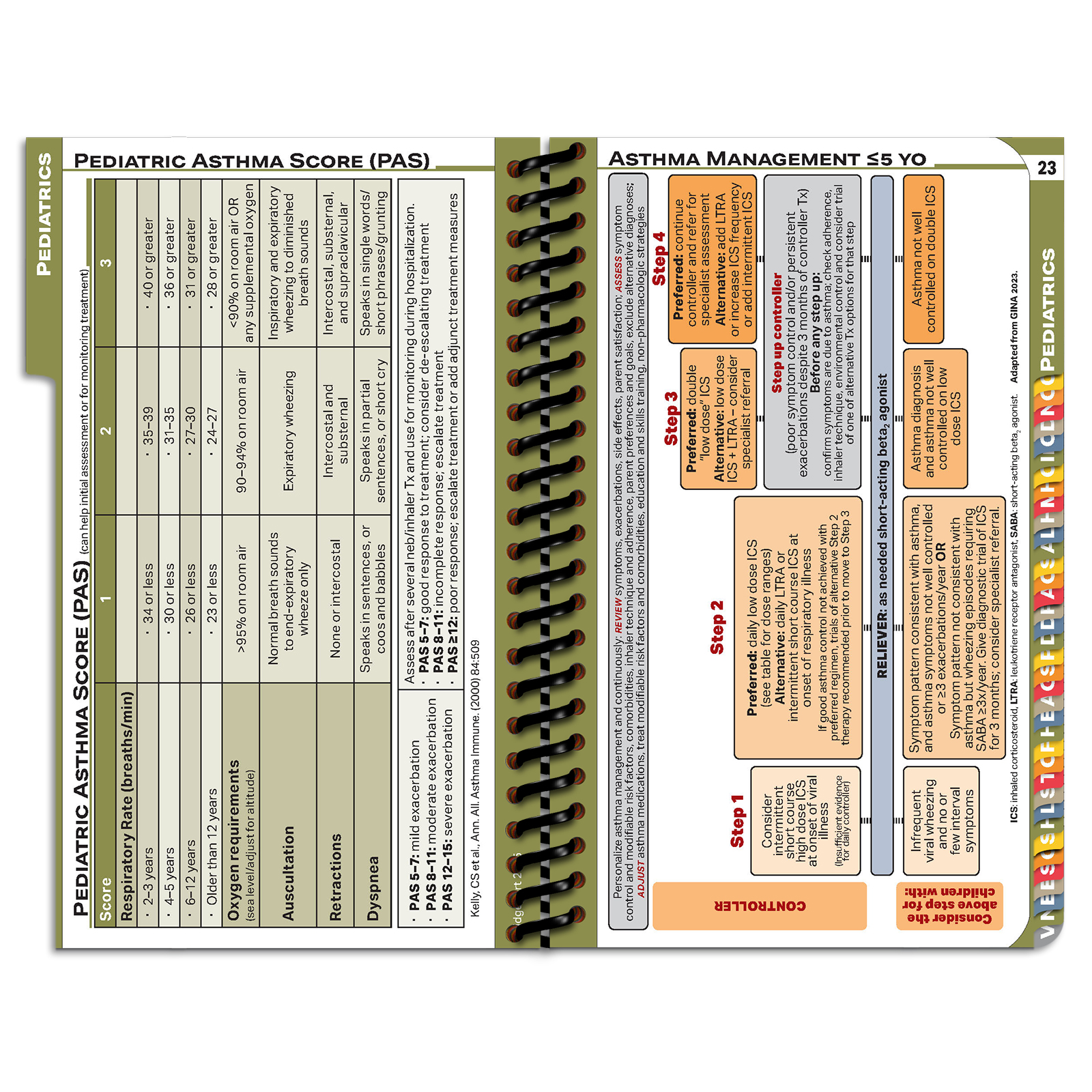 PApocket Physician Assistant University of Bridgeport