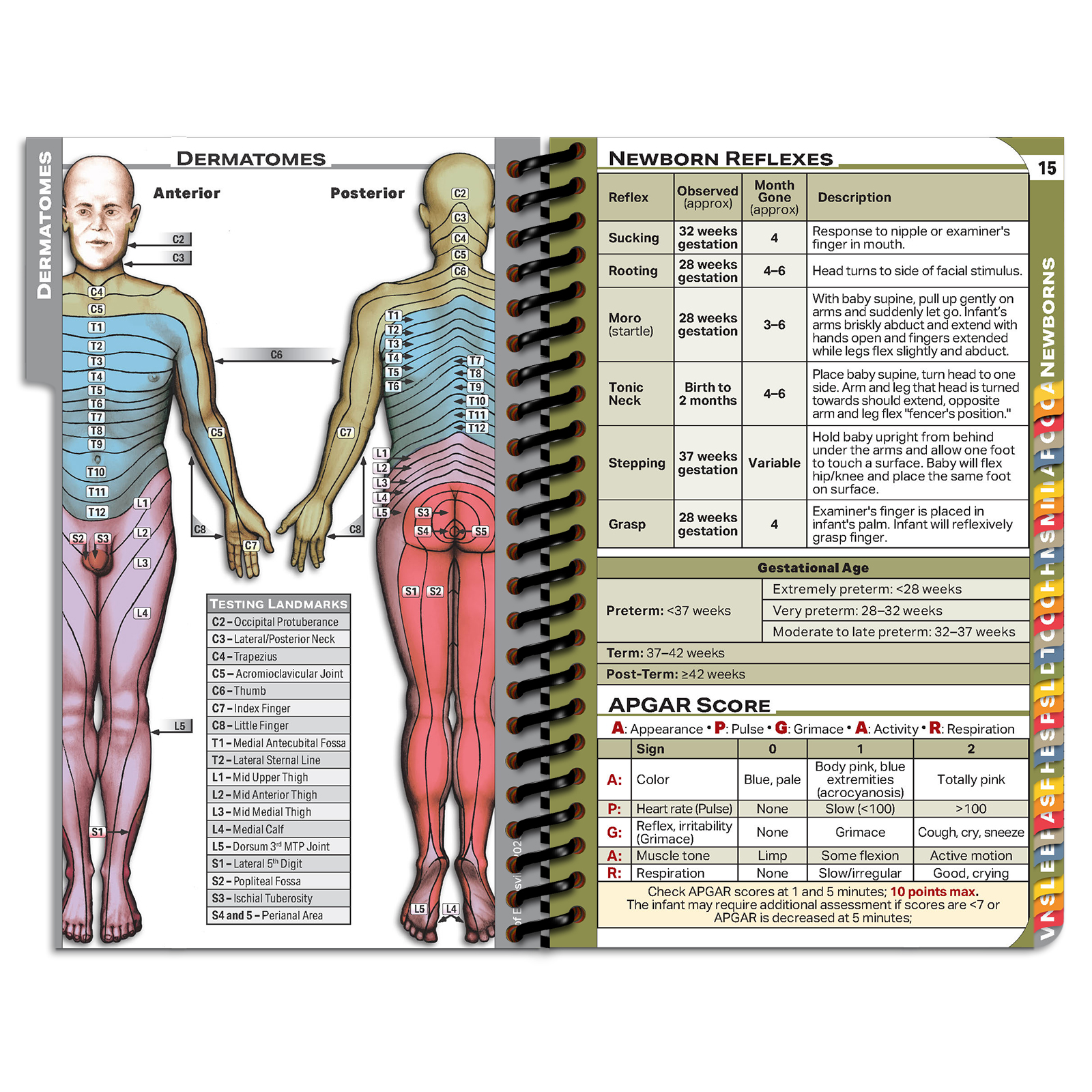 PApocket Physician Assistant University of Evansville