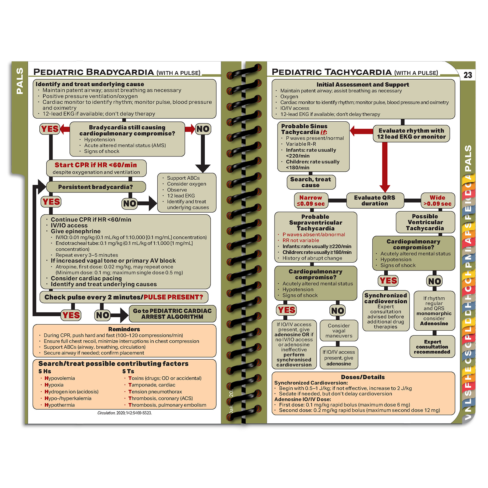 PApocket Physician Assistant University of South Dakota