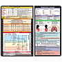WhiteCoat Clipboard Respiratory Label