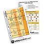 Rapid ID - Lung Volumes & Obstructive/Restrictive Lung Disease