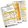 Rapid ID - Respiratory Pack